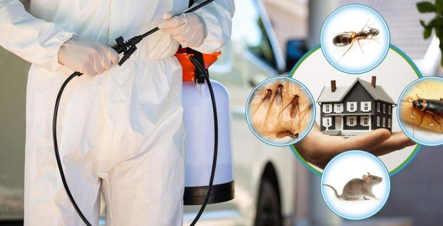 Karaburun Böcek İlaçlama