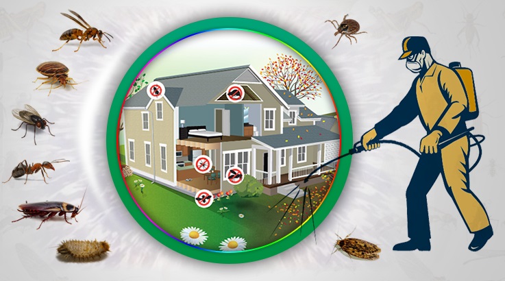 Karaburun Böcek İlaçlama