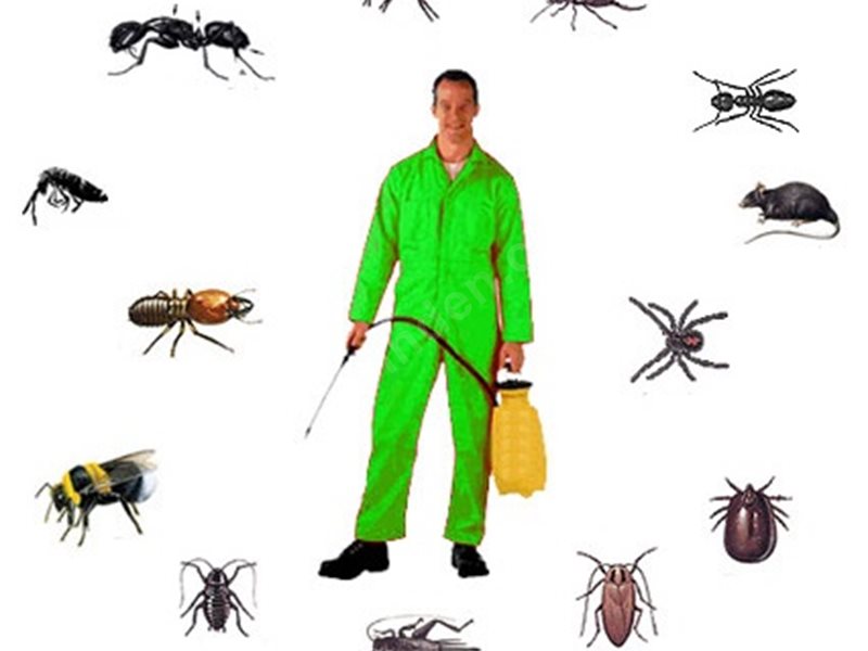 Karaburun Böcek İlaçlama